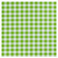 Plakfolie Rol 200x45cm Ruitjes Groen