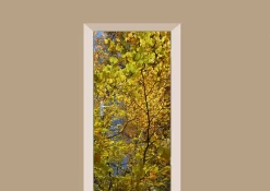 Deursticker Herfst Bladeren