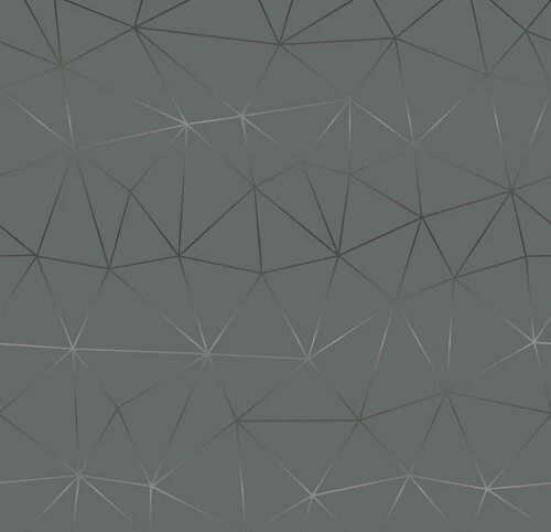 Plakfolie Tico Zilver (45cm) 1 Plakfolie Tico Zilver (45cm)