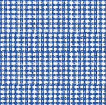 Plakfolie Ruitje Blauw (45cm) 1 Plakfolie Ruitje Blauw (45cm)