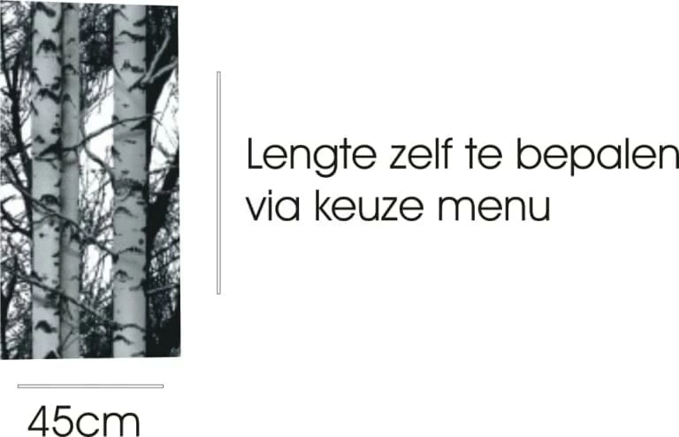 Plakfolie Bos Berken (45cm) 2 Plakfolie Bos Berken (45cm) - Afbeelding 2