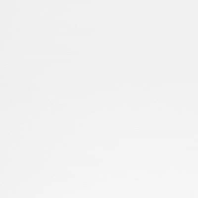 Aslan Plakfolie Glans Wit RAL 9003 (122cm) 1 Aslan Plakfolie Glans Wit RAL 9003 (122cm)